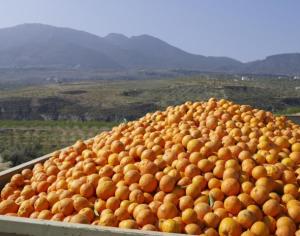 Funds dished out to help food SMEs forge export links